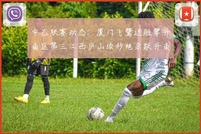 中乙联赛动态：厦门飞鹭连胜攀升南区第三江西庐山读秒绝杀跃升南区第四